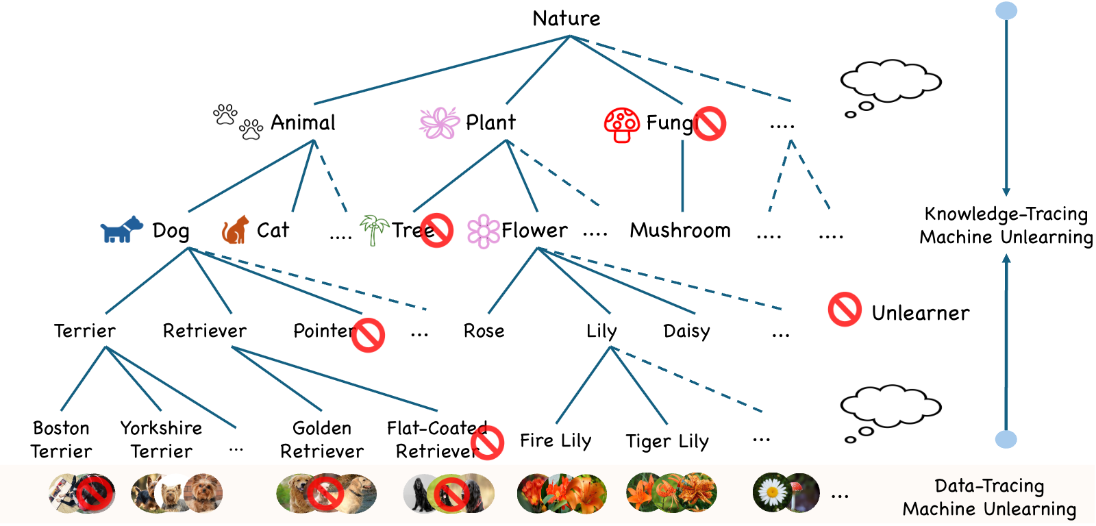 Knowledge-Tracing Machine Unlearning.